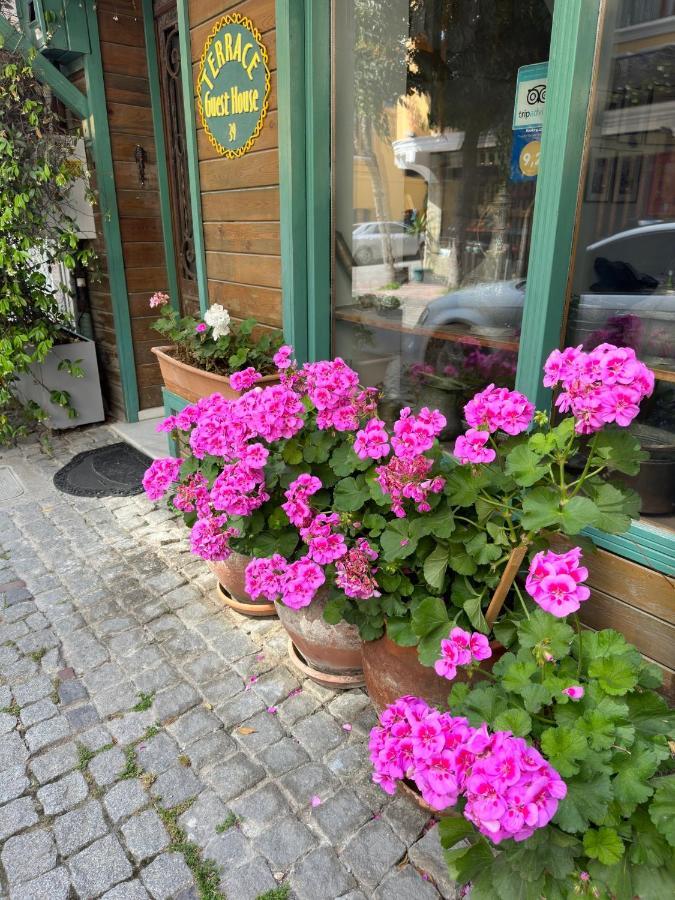 Terrace Guesthouse イスタンブール エクステリア 写真